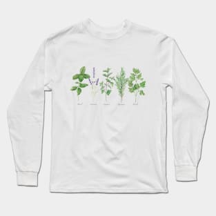 Culinary herbs painting Long Sleeve T-Shirt